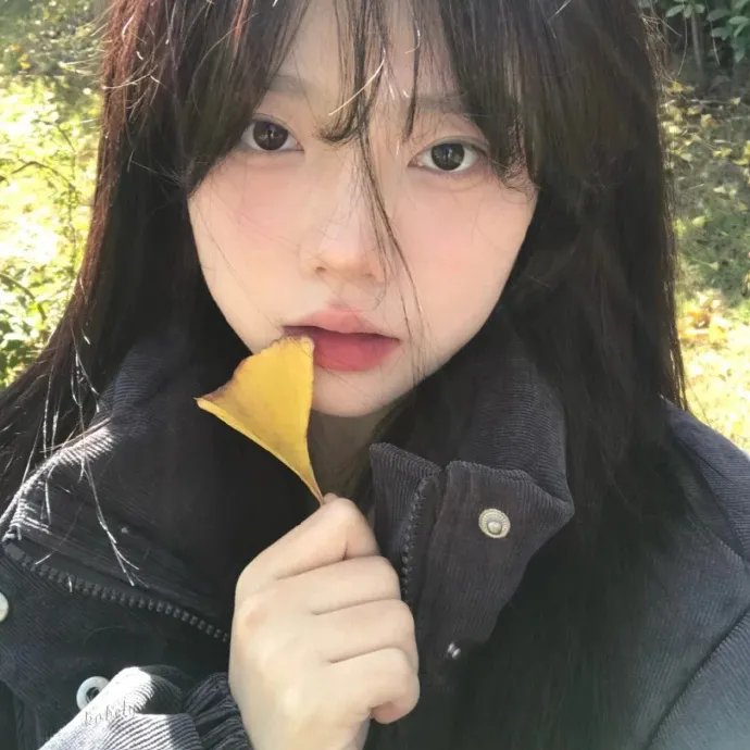 我的野蛮初恋 封面